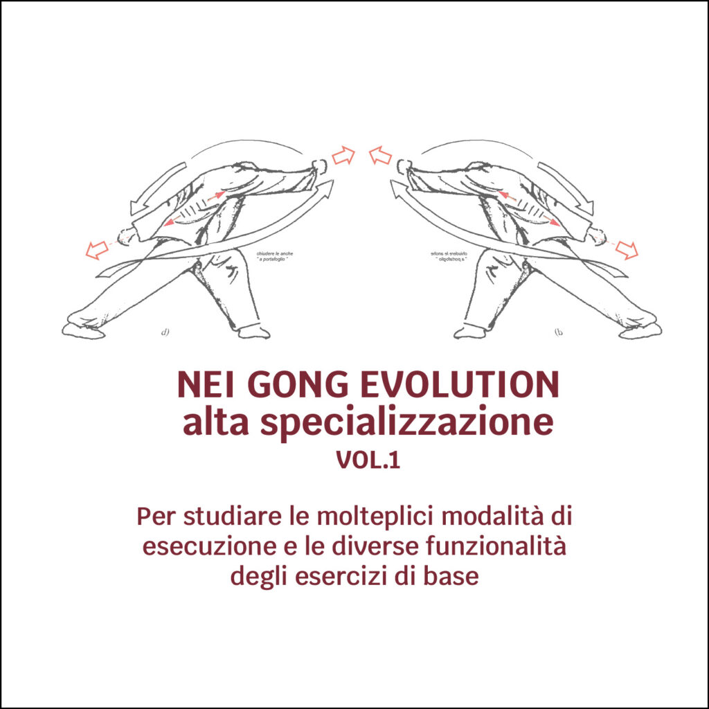 Nei Gong Evolution