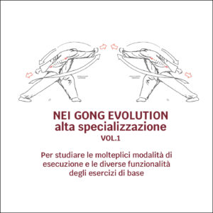 Nei Gong Evolution