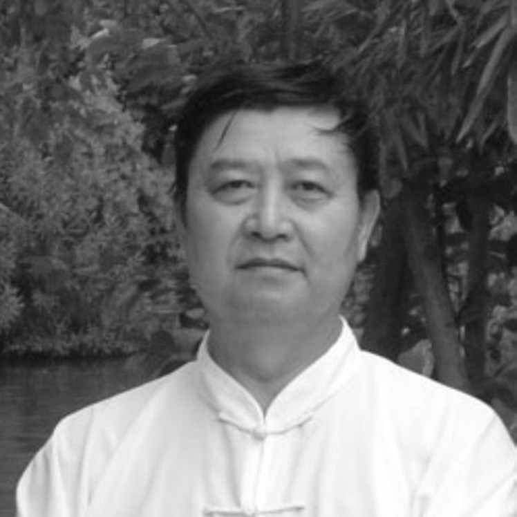 Master Li Tian Wei