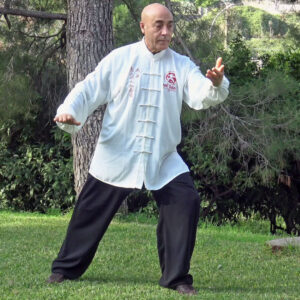 Il Maestro Flavio Daniele mentre pratica Taiji Quan