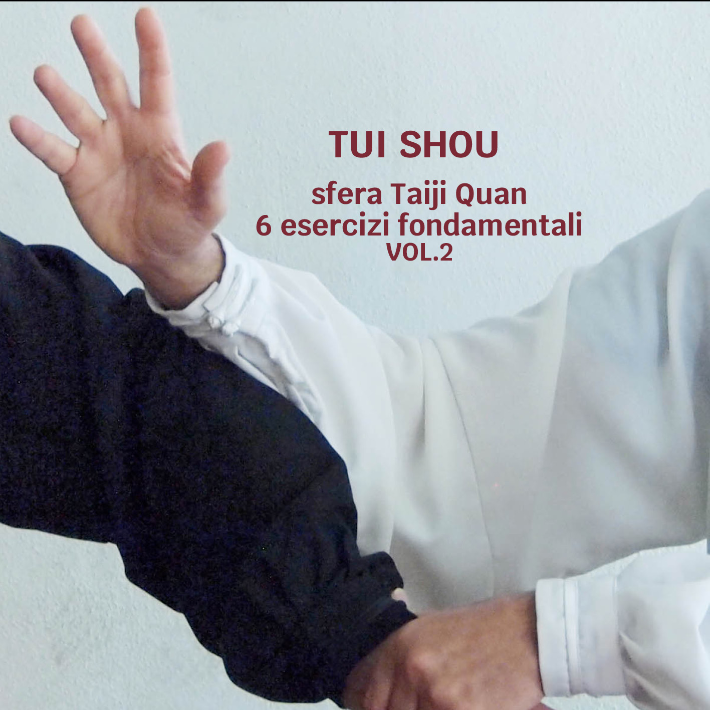 Tui Shou (Vol.2) I sei esercizi fondamentali
