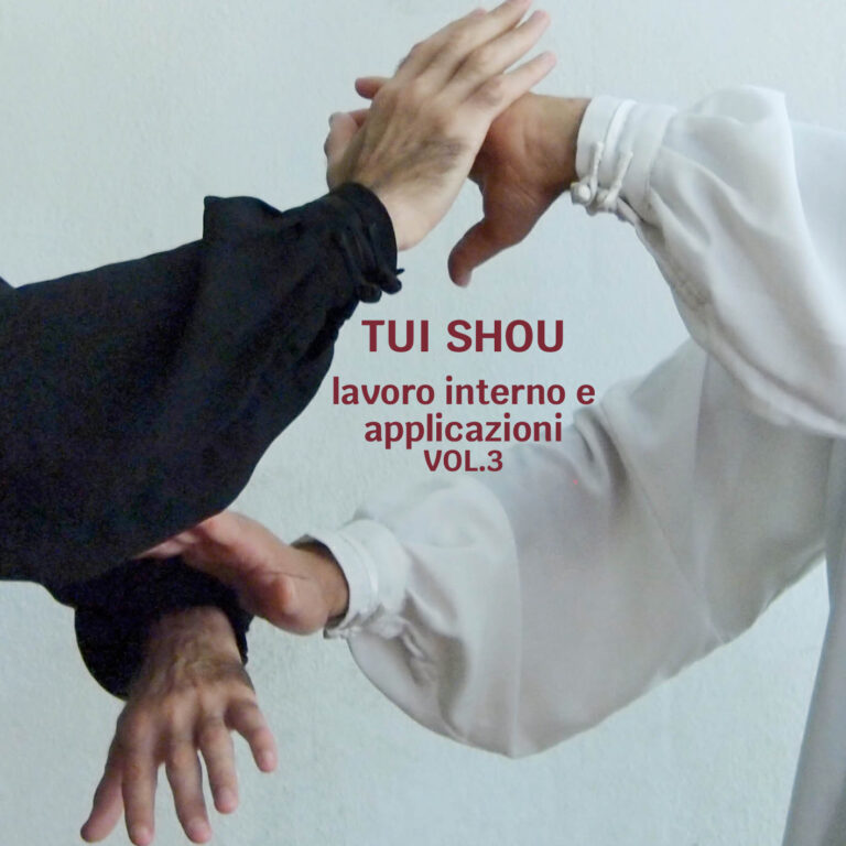 Tui Shou (Vol.3) Lavoro interno e le sue applicazioni