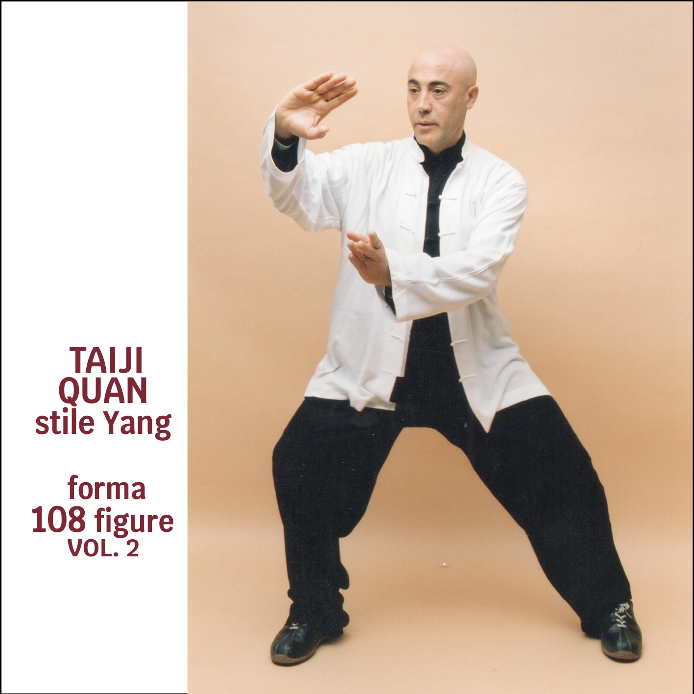 Taiji Quan Stile Yang (Vol.2) Forma 108 figure